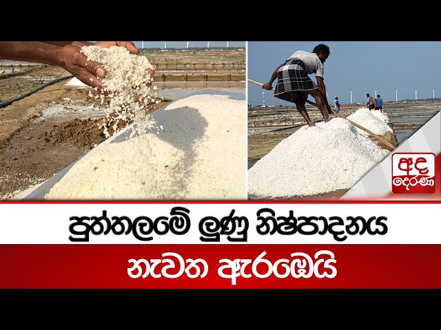 පුත්තලමේ ලුණු නිෂ්පාදනය නැවත ඇරඹෙයි | Lanka Salt