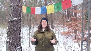 Being An Insight Yoga Endorsed Teacher