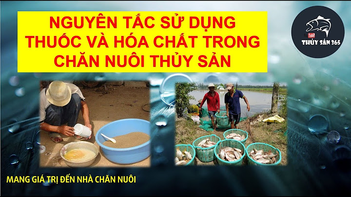 Cung cấp thuốc hóa chất nuôi cá báo giá năm 2024