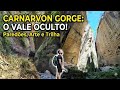 EXPLOREI O OÁSIS ESCONDIDO NA AUSTRALIA 🇦🇺 | Carnarvon Gorge, Queensland