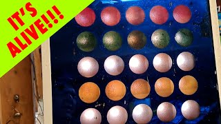 Saving the oldest FASCINATION system (PART 4)
Randys Collection: Episode 130 - I finally breath some life into the Fascination tables that I saved from Nantasket, Massachusetts.
Check out Part 1, 2 and 3 in this series of episodes:
Part 1: https://youtu.be/FKIZMpgnCaI?si=AhUqc0TJ_2kXCqPy
Part 2: https://youtu.be/1X0S-qoBxZc?si=aolMe7tZwJmuacIi
Part 3: https://youtu.be/jexmv1pqG20 Saving the oldest FASCINATION system (PART 4)