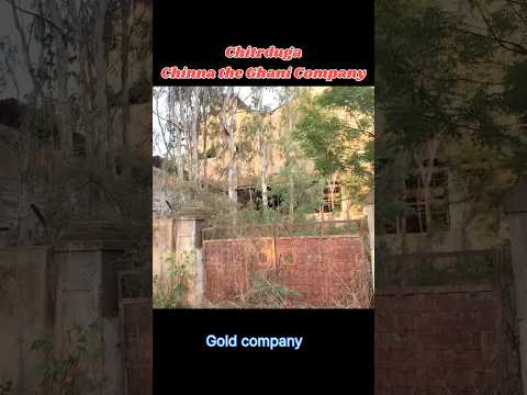 Chitrduga Chinna The Ghani Company #ytshorts