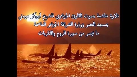 تلاوة خاشعة بصوت عذب للقارئ الجزائري الشيخ أبوبكر مومني - من سورتي الروم والذاريات