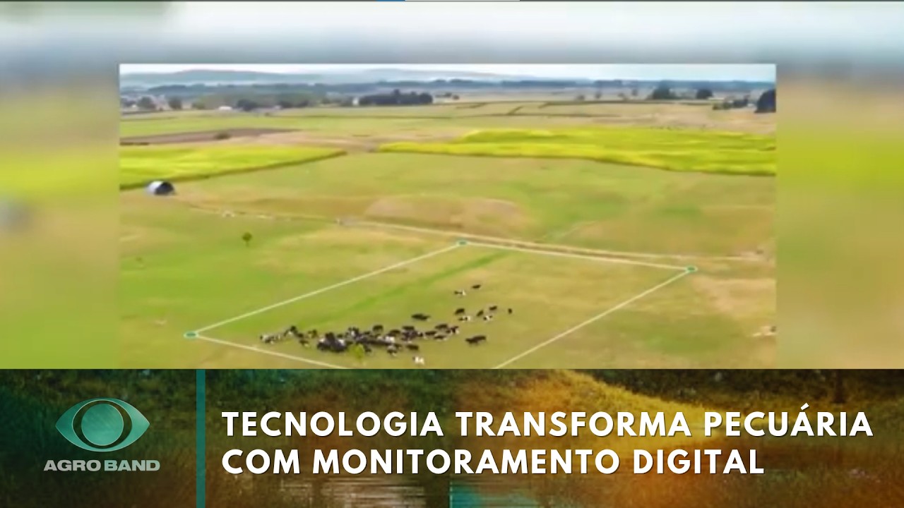 Tecnologia transforma pecuária com monitoramento digital e drones | Agro Band