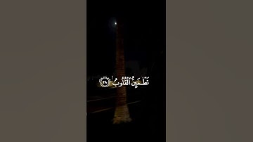 الذين آمنوا وتطمئن قلوبهم بذكر الله ألا بذكر الله تطمئن القلوب(28) #ياسر_الدوسري #سورة_الرعد #قرآن