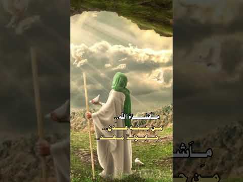 ماشاء الله مهدينا انولد أهل البيت الامام المهدي عج 