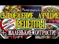 🍏 Сыроедение, лучшее меню с рецептами ➡️ плюс маленькие хитрости.