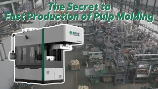 Hanson Pulp Molding Technology | Smart Manufacturing for a Green Future