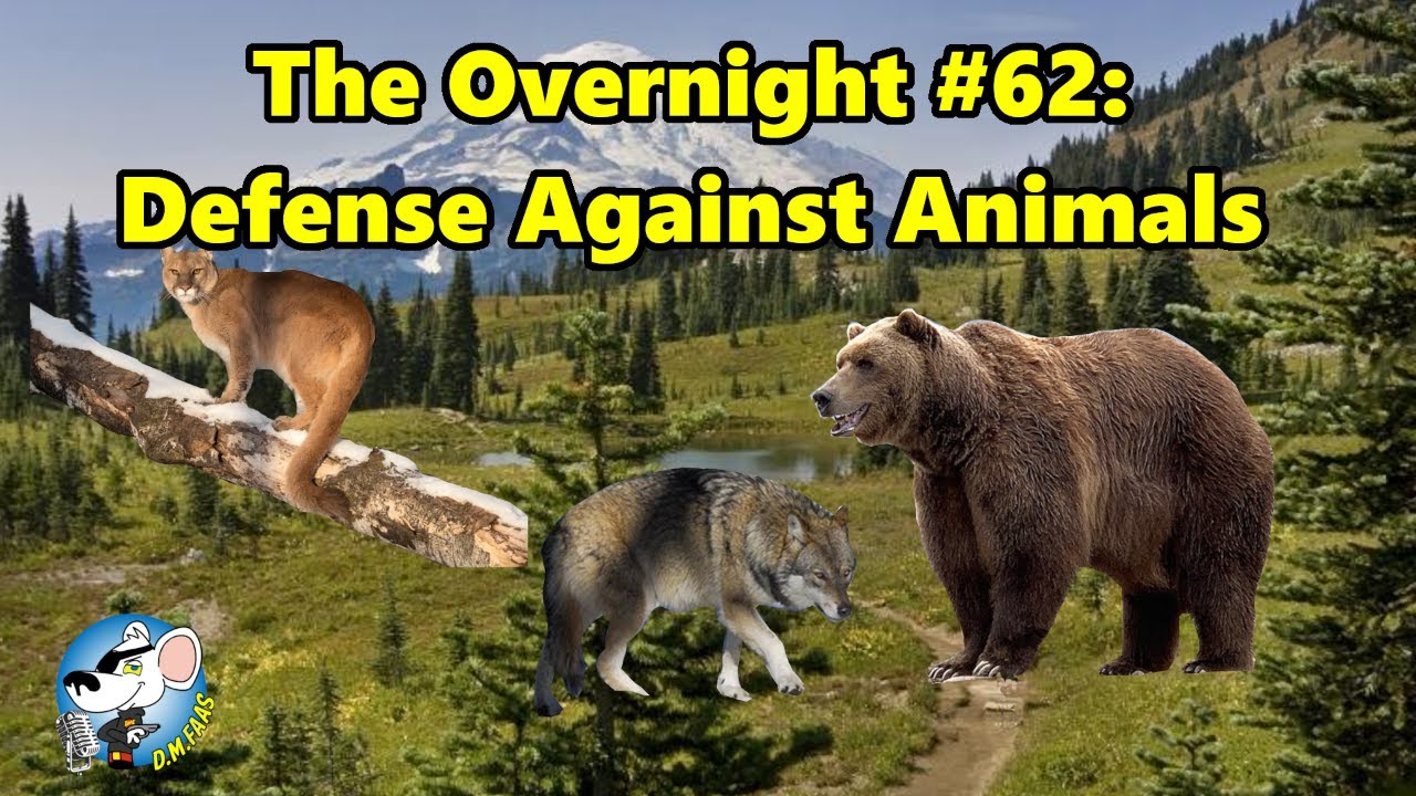 The Overnight 62 Defense Against Animals YouTube