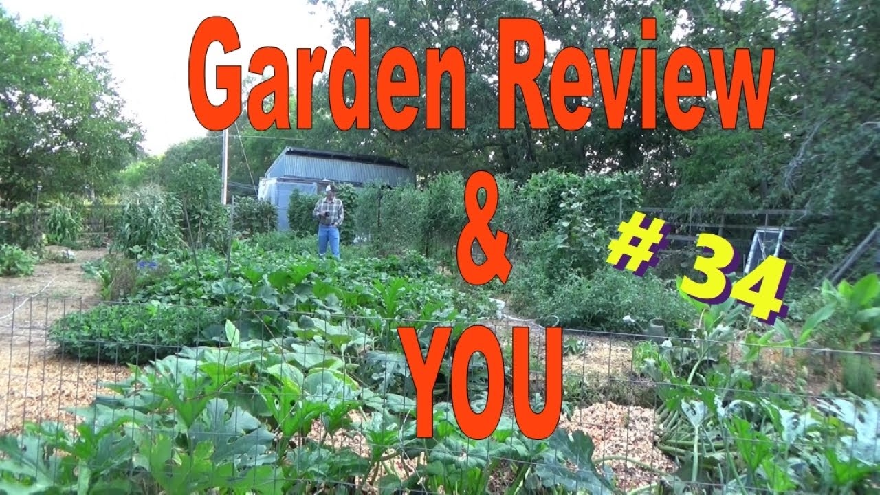 Garden Review And You, Episode 34, 8-20-2022 - YouTube
