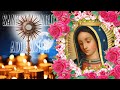 SANTO ROSARIO- ADORACIÓN OFRECIDO A NTRA SRA DE GUADALUPE  POR LAS NECESIDADES LIBERACION Y SANACION