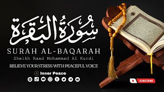 Surah Al-Baqarah | Sheikh Raad Mohammad Al Kurdi | Inner Peace | Relaxed Recitation