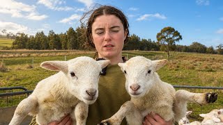 The Ram Problem
