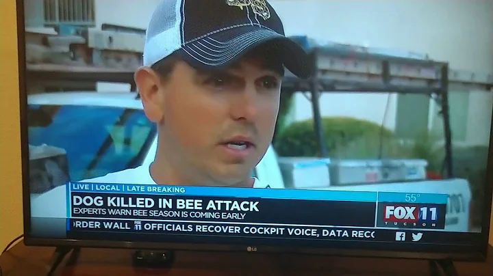 Desert Swarm in the News - Bee Attack March 2019