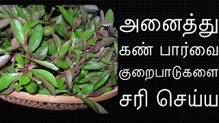 கண்கள், மேனி பளபளக்க சிவப்பு பொன்னாங்கண்ணி கீரை | Ponnanganni keerai kootu in tamil | keerai recipes