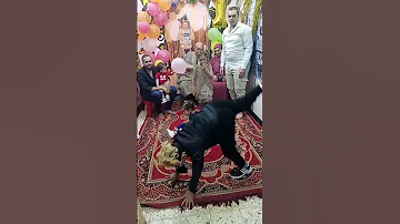 امك وعيالها جوزها وأخوها وأبوها وخالها عيلتك كلها ببعتهلها اكسبلور Dance Hiphop Funny Shorts 