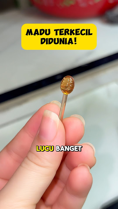 THE SMALLEST HONEY IN THE WORLD!!! 🍯
