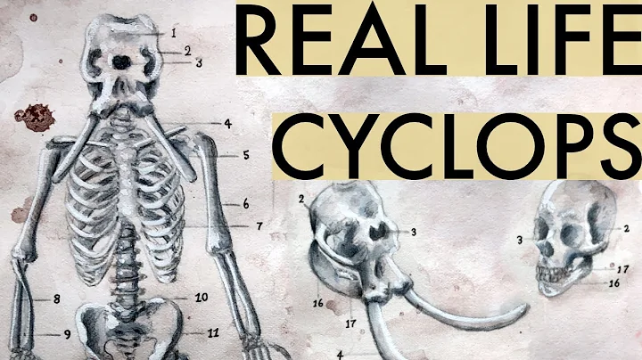 The Story Of Real Life Cyclopses | Animal Artists ...