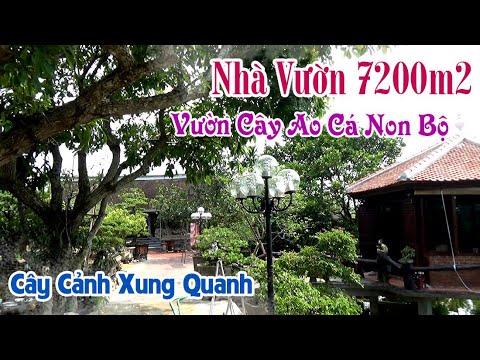 nhà vườn ao cá