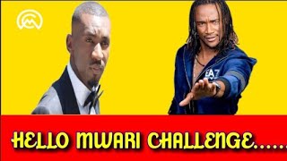 Jah Prayzah And Passion Java Do Hello Mwari Challenge