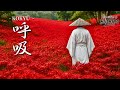 KOKYŪ – 呼吸 | Japanese Zen Music – Samurai Meditation & Tao Inspired Bushido Vibes