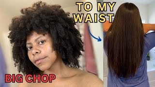 Easy Growth and Length Retention Tips| 10 Things That Grew My Waist Length Hair