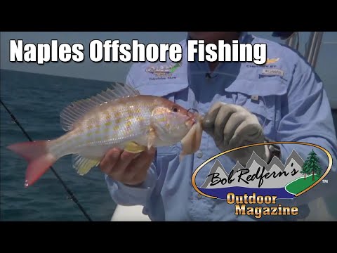 Palmetto Dunes Fishing  Bob Redfern's Outdoor Magazine TV Series