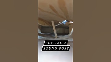 🎻 How to Set a Soundpost 🎻It