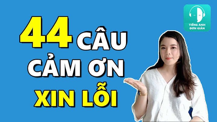 Cảm ơn là gì xin lỗi là gì năm 2024