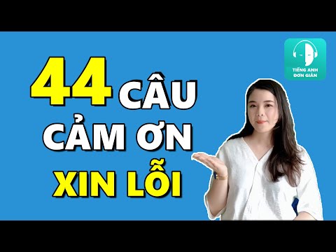 Cảm Ơn Và Xin Lỗi Bằng Tiếng Anh Đơn Giản