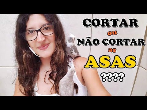 Vídeo: Por Que Os Pássaros Precisam De Suas Asas Cortadas?