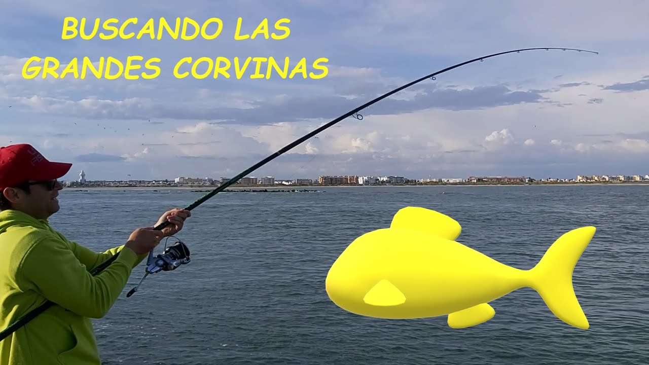PESCANDO CORVINAS DESDE ESPIGON. IMPRESIONANTE LO QUE PUEDE LLEGAR A PESCAR EL PULPO!!!