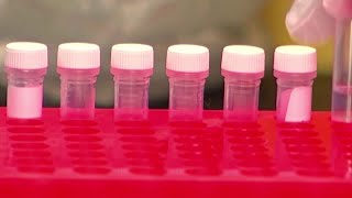 Coronavirus can give immunity for five months: study