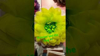 Princess 👸 and the frog 🐸 wreath lol. 😆 #flowers 4/24/26