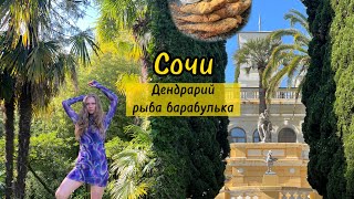 Сочи: Дендрарий Обзор И Рыба🐠Барабулька