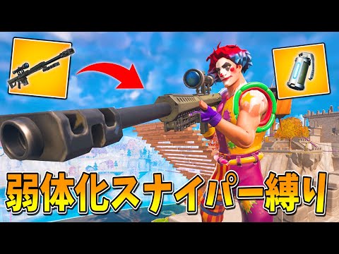弱体化されたヘビスナ縛りで 神ショット決めてビクロイしたｗｗｗｗｗ フォートナイト