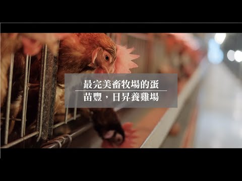 企業形象 | 來自最完美畜牧場的蛋 | 日昇畜牧場