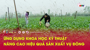 Ứng dụng khoa học kỹ thuật nâng cao hiệu quả sản xuất vụ đông