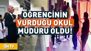 Öğrencinin Vurduğu Okul Müdürü Hayatını Kaybetti! 17 Yaşındaki Irak Asıllı Öğrenci Gözaltında! | NTV Resimi