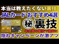 JALカードのおすすめ4選を比較 隠れ入会キャンペーンからJALマイルの貯め方までを徹底解説！