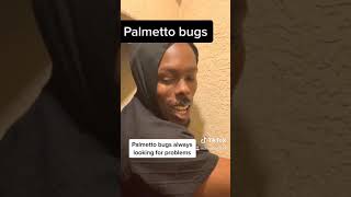 One of Floridians biggest fears palmetto bugs