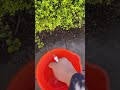 This Solar System Waters Your Plants Automatically 🌱☀️