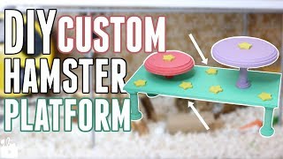 DIY Custom Hamster Platform!