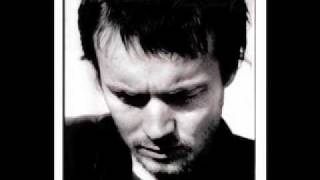 Damien Rice- Don't Explain