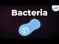 Introduction to Bacteria | Microorganisms | Biology | Don't Memorise