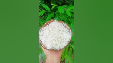 Thumbnail of #song #love #music #shortvideo #food #lifeisbutadream