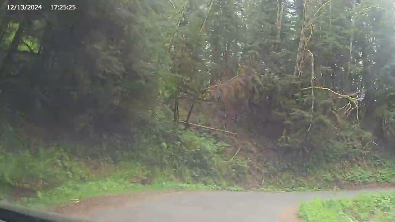 Drift Creek Covered Bridge & famous last words: Google says if we turn left we can take a back way
