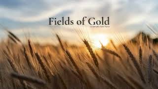 Download Lagu Fields of Gold | Cinematic Folk Piano | Peaceful \u0026 Emotional Instrumental MP3