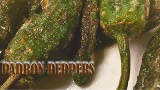 How to prepare Galician Padron Peppers, Pimientos de Padrón, Spanish Tapas, Galician dishes