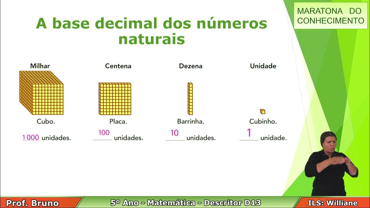 D24 D21 D13 D19 - MATEMÁTICA - 5 º ANO - Quiz